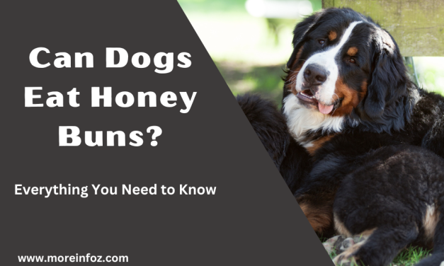 Can Dogs Eat Honey Buns? Everything You Need to Know